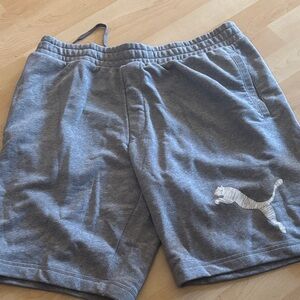 Puma Men's Gray Athletic Shorts